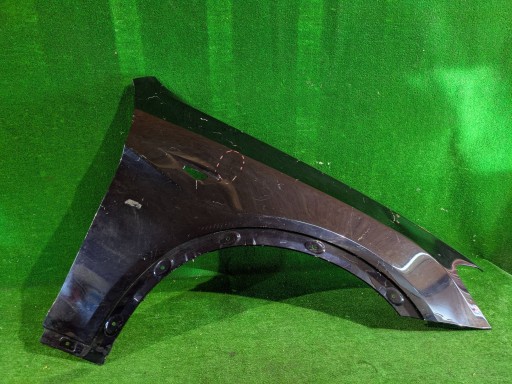 BLATOBRAN PREDNJA STRANA DESNA BMW X3 F25 X4 F26 NR.168
