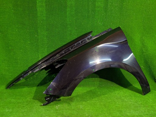 BLATOBRAN PREDNJA STRANA LIJEVA CITROEN DS5 11- NR.173