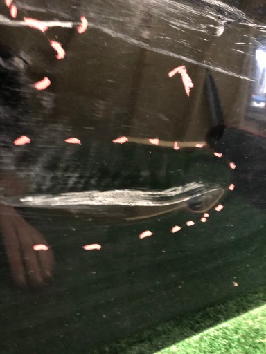 VRATA PREDNJA STRANA DESNA BMW 5 E60 E61 NR.221 VRATA PREDNJA STRANA DESNA BMW 5 E60 E61 NR.221
