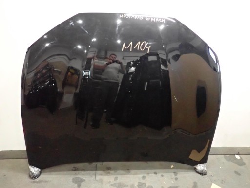 HAUBA FORD MUSTANG MACH E 2020-