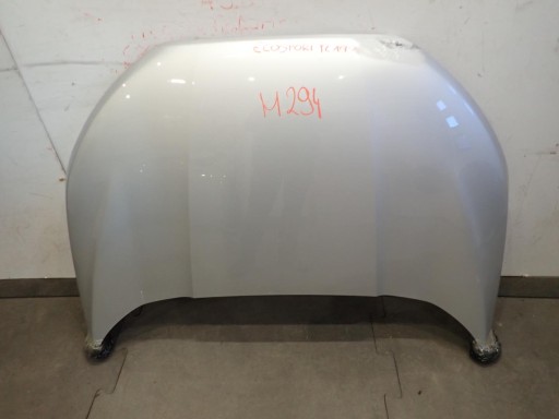 HAUBA FORD ECOSPORT REDIZAJN 2017-