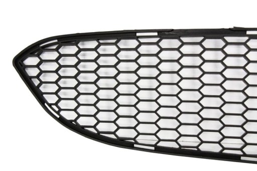 MREŽICA GLAVNA BRANIKA BMW E60 03-10 LOOK M5