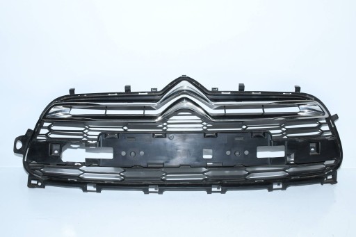 MASKA MREŽICA BRANIKA 9673279177 CITROEN DS5