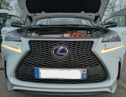 STAKLENI KROV PANORAMA ČETVRTINA CAŁY ZADNJI GOLI PRAG VEZNI LIM LEXUS NX 083 STAKLENI KROV PANORAMA ČETVRTINA CAŁY ZADNJI GOLI PRAG VEZNI LIM LEXUS NX 083