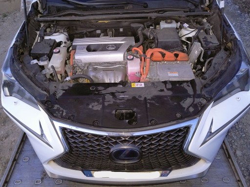 STAKLENI KROV PANORAMA ČETVRTINA CAŁY ZADNJI GOLI PRAG VEZNI LIM LEXUS NX 083 STAKLENI KROV PANORAMA ČETVRTINA CAŁY ZADNJI GOLI PRAG VEZNI LIM LEXUS NX 083
