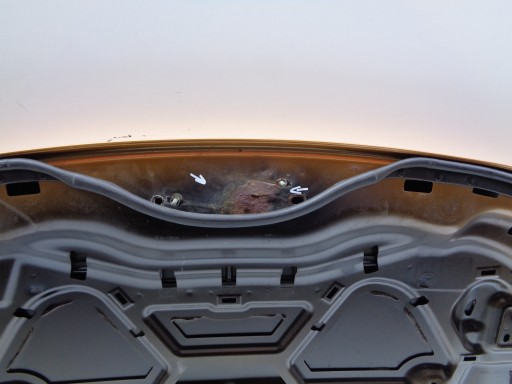 HAUBA POKLOPAC MOTORA FORD EDGE 16- NR 46912