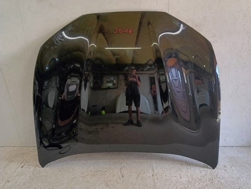 HAUBA POKLOPAC MOTORA FORD MUSTANG MACH-E MACH E 20-