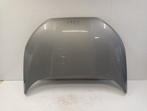 HAUBA POKLOPAC MOTORA FORD ECOSPORT REDIZAJN 17-