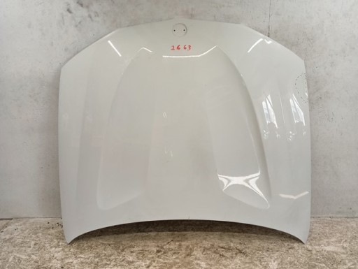 HAUBA POKLOPAC MOTORA BMW X3 F25 X4 F26 10-18R