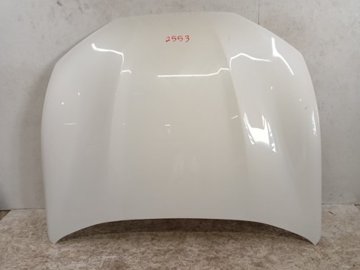 HAUBA POKLOPAC MOTORA FORD MUSTANG MACH-E MACH E 20-