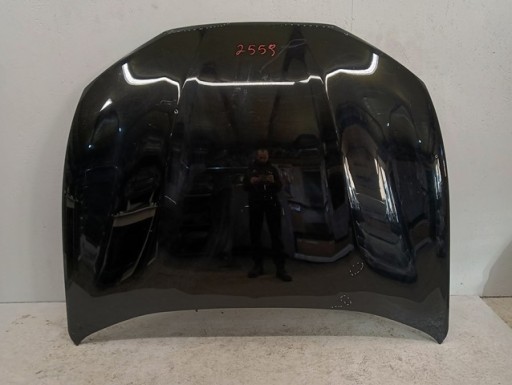 HAUBA POKLOPAC MOTORA FORD MUSTANG MACH E MACH-E 20-