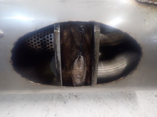 AUSPUH BMW X5 G05 X6 G06 X7 G07