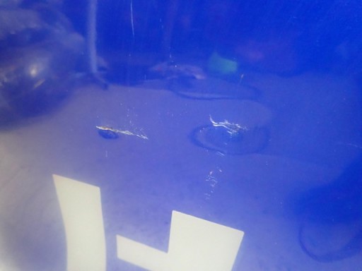 GEPEK ZADNJI POKLOPAC TOYOTA HILUX 8 VIII 2015-