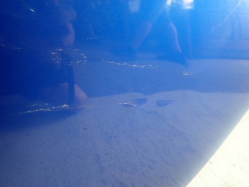 VRATA LIJEVA ZADNJA STRANA ZADNJI KIA PRO CEED 3 III 18-