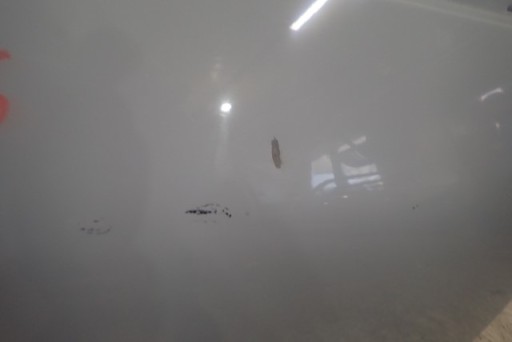 VRATA DESNA ZADNJA STRANA ZADNJI FIAT 500L 500 L VRATA DESNA ZADNJA STRANA ZADNJI FIAT 500L 500 L