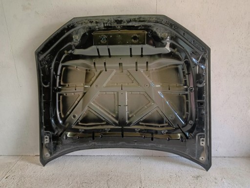 HAUBA POKLOPAC MOTORA FORD MUSTANG MACH-E MACH E 20-