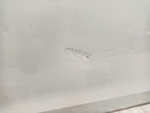 VRATA LIJEVA PREDNJA STRANA SKODA CITIGO UP MII 1S (MODEL SA 3 VRATA) 11-