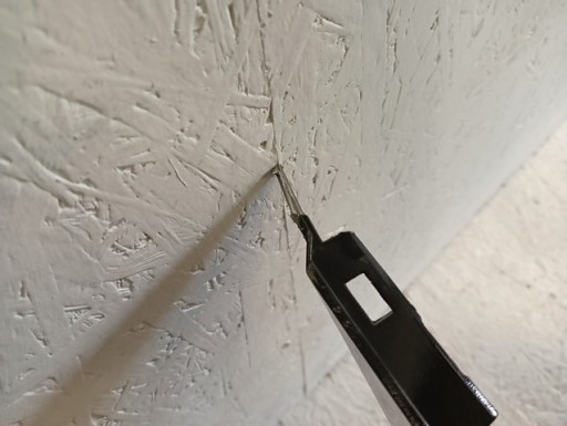 BRANIK PREDNJA STRANA RENAULT KOLEOS II REDIZAJN 19-