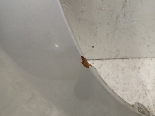 BLATOBRAN DESNA STRANA PREDNJA CITROEN C1 PEUGEOT 107 05-