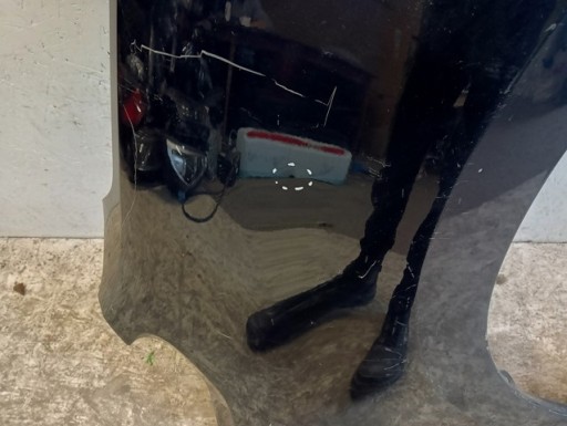 BLATOBRAN DESNA STRANA PREDNJA VW SHARAN SEAT ALHAMBRA 7N 10-