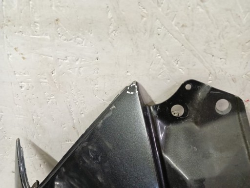 BLATOBRAN DESNA STRANA PREDNJA TOYOTA RAV4 RAV-4 III 3 06-09R