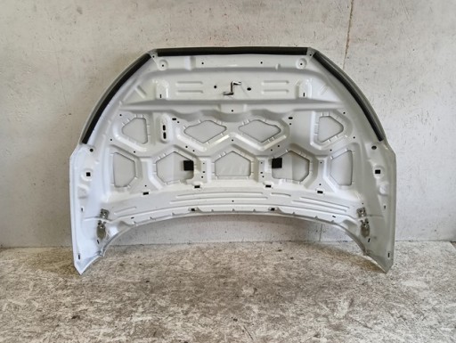 HAUBA POKLOPAC MOTORA FORD ECOSPORT REDIZAJN 17-21R