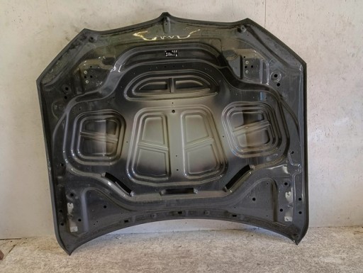 HAUBA POKLOPAC MOTORA BMW X5 G05 X6 G06 18-