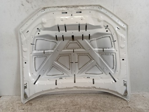 HAUBA POKLOPAC MOTORA FORD MUSTANG MACH-E MACH E 20-