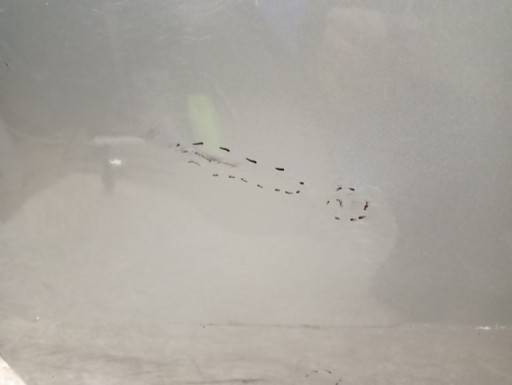 VRATA LIJEVA ZADNJA STRANA ZADNJI TOYOTA VERSO 09-