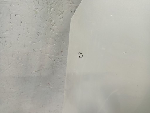 BLATOBRAN DESNA STRANA PREDNJA TOYOTA PRIUS IV 4 16-