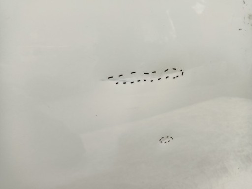 VRATA DESNA ZADNJA STRANA ZADNJI PEUGEOT 301 CITROEN C-ELYSEE 12- VRATA DESNA ZADNJA STRANA ZADNJI PEUGEOT 301 CITROEN C-ELYSEE 12-
