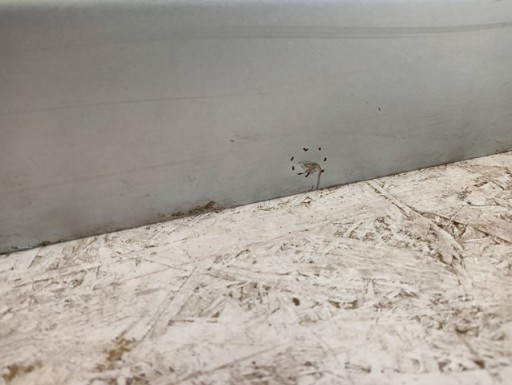 VRATA DESNA  ZADNJA STRANA ZADNJI SEAT ALTEA 5P 2004-2012R