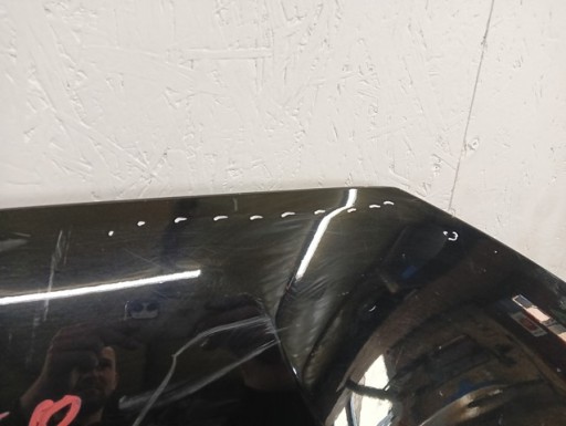 HAUBA POKLOPAC MOTORA FORD MUSTANG MACH E MACH-E 20-