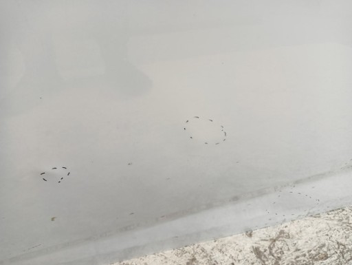 VRATA LIJEVA PREDNJA STRANA HYUNDAI IX20 KIA VENGA 09- VRATA LIJEVA PREDNJA STRANA HYUNDAI IX20 KIA VENGA 09-