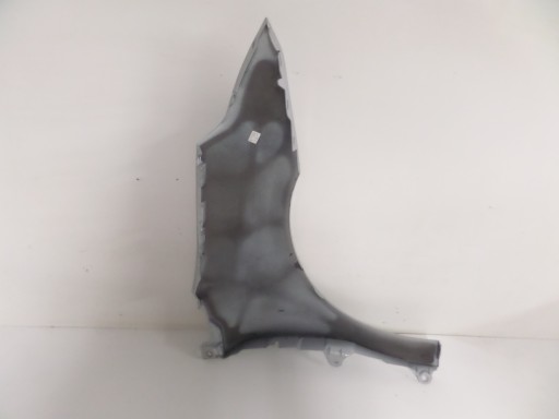 BLATOBRAN PREDNJA STRANA LIJEVA CITROEN C4 04-10 BLATOBRAN PREDNJA STRANA LIJEVA CITROEN C4 04-10