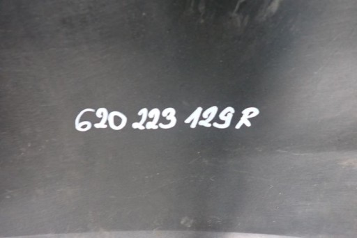 RENAULT ZOE REDIZAJN 19- BRANIK PREDNJA STRANA RENAULT ZOE REDIZAJN 19- BRANIK PREDNJA STRANA