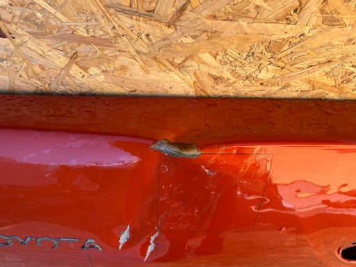 TOYOTA HILUX GEPEK ZADNJA ZADNJI TOYOTA HILUX GEPEK ZADNJA ZADNJI