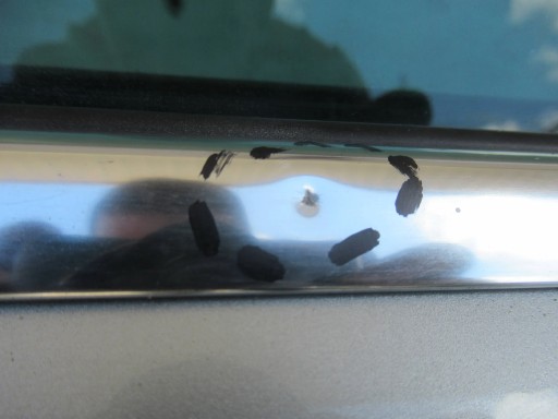 VRATA ZADNJI ZADNJA LIJEVA SEAT EXEO KARAVAN