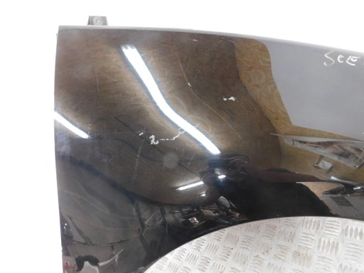 BLATOBRAN PREDNJI DESNI RENAULT SCENIC III 3 08- BLATOBRAN PREDNJI DESNI RENAULT SCENIC III 3 08-