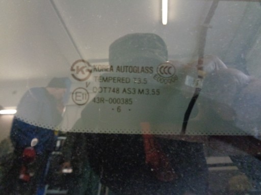 GEPEK ZADNJA KIA CARNIVAL II 06- CLEAR SILVER