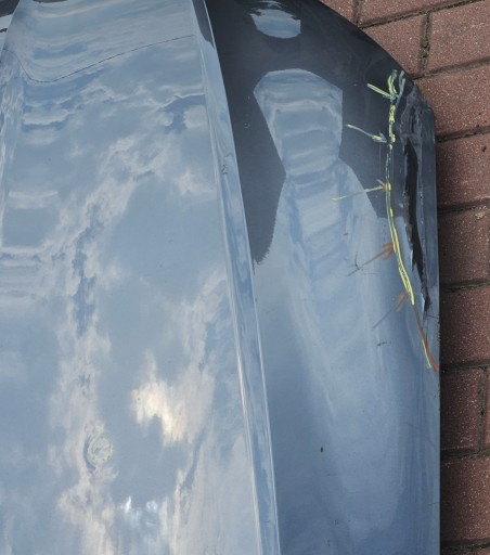 AUDI A5 II 8W6 16-24 HAUBA