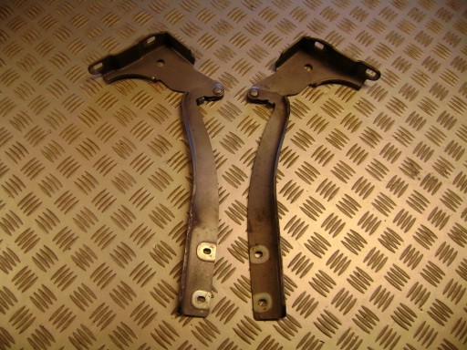 NOSAČI HAUBE FIAT GRANDE PUNTO EVO