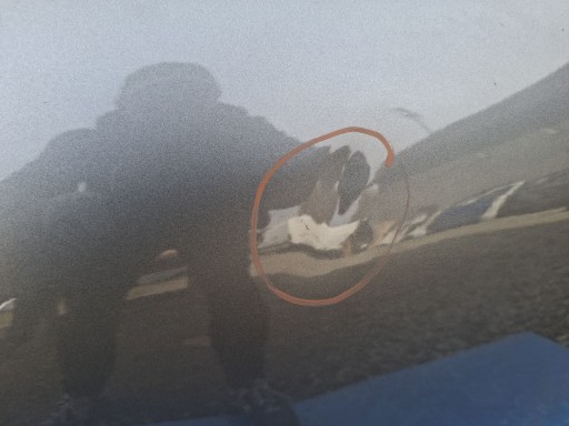 VRATA DESNA  ZADNJA OPEL FRONTERA C ELECTRIC 2024R-> 9855229380