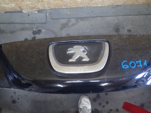 BRANIK PREDNJA STRANA PEUGEOT RCZ