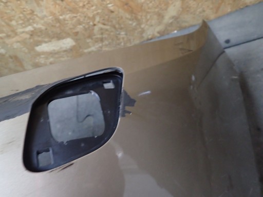 BRANIK PREDNJA STRANA RENAULT SCENIC IV 4
