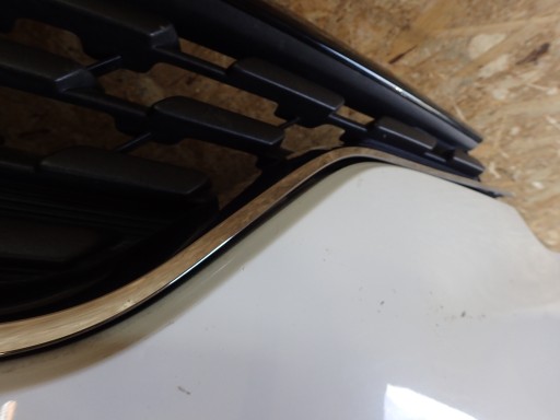 BRANIK PREDNJA STRANA RENAULT SCENIC IV 4