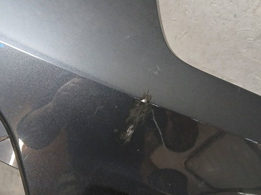 BRANIK PREDNJA STRANA FORD C MAX C-MAX MK1 REDIZAJN 07-10